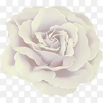 花朵装饰素材