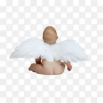 白色天使翅膀 婴儿