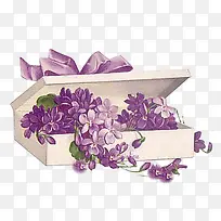紫色小花紫色彩带白盒