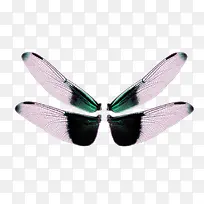 羽毛翅膀彩色翅膀  蜻蜓翅膀