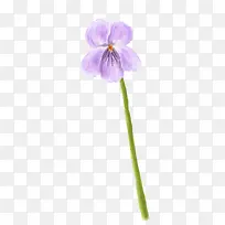 手绘紫色花朵花瓣可爱