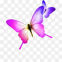 紫色渐变创意蝴蝶