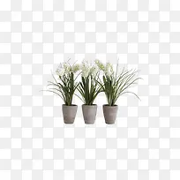 欧美流行插花 绿植物 鲜花软装