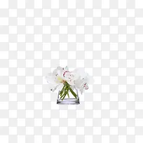 欧美流行插花 绿植物 鲜花软装
