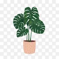水彩植物