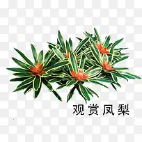 花草树木素材