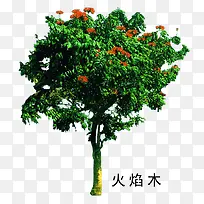 花草树木素材