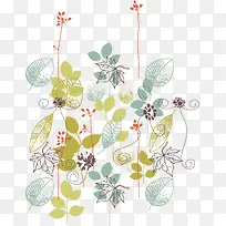 绿色植物花藤