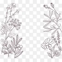 矢量手绘植物花卉