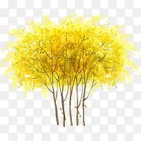 春季黄色大树风景
