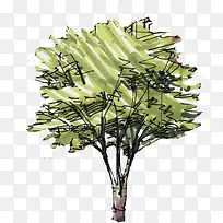 创意合成水彩绿色大树