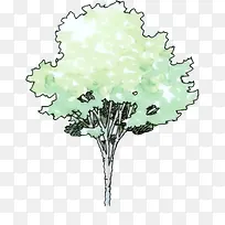 手绘绿色大树插画