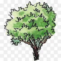 手绘植物绿色大树