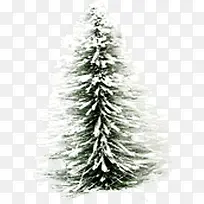 冬季雪块大树装饰