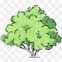 手绘绿色景观公园大树