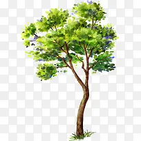 创意高清绿色的大树彩绘