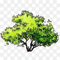 合成创意手绘绿色的大树