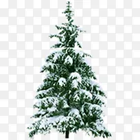 圣诞节日冬日大树