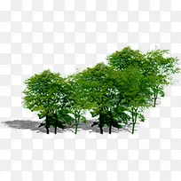 高清创意绿色的大树合成效果