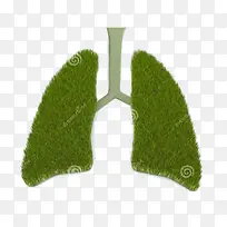 绿草的肺