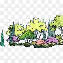 手绘彩色公园装饰大树
