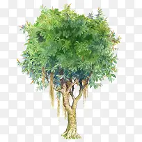 手绘清新绿色植物大树