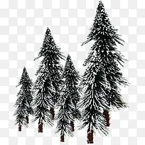 冬日大树美景雪景