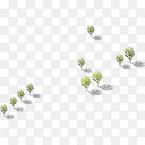 鸟瞰大树场景效果