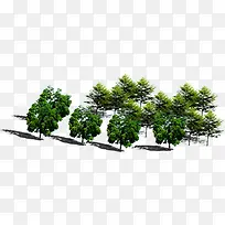 绿色大树景观植物装饰