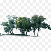 高清创意摄影效果合成绿色大树