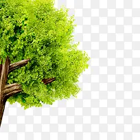 创意合成高清绿色的大树