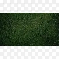 高清绿色草地壁纸