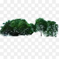 高清摄影合成效果绿色大树