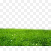 绿色草地风景装饰