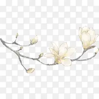 手绘鲜花艺术画报