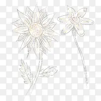 矢量手绘花朵