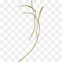 清新手绘卡通小草