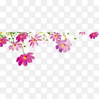 创意感恩教师节海报小清新植物花朵