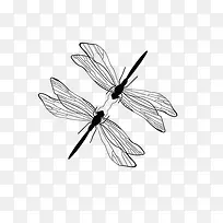 黑色简笔画风格手绘蜻蜓