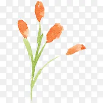 童话里的花