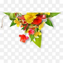 花卉背景素材ps花卉素材
