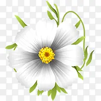 白色卡通花卉