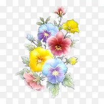 花卉