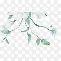 绿色枝叶白色花卉古风手绘