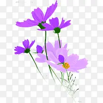 手绘海报节日花朵效果紫色