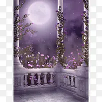 紫色梦幻花朵月光
