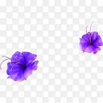 紫色韩版唯美花朵