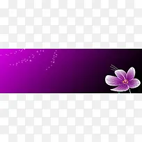 花朵梦幻星星粉紫色