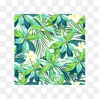 热带植物