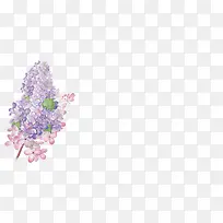 彩色的立体花